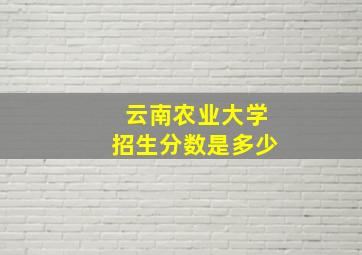 云南农业大学招生分数是多少