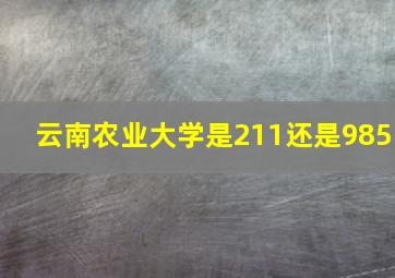 云南农业大学是211还是985