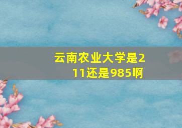 云南农业大学是211还是985啊