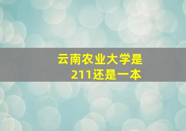 云南农业大学是211还是一本