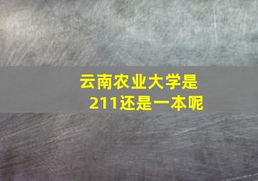 云南农业大学是211还是一本呢