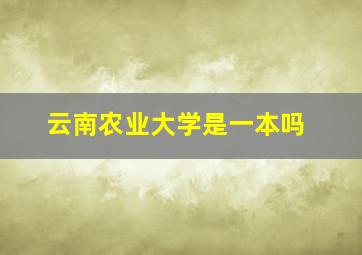 云南农业大学是一本吗