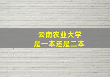 云南农业大学是一本还是二本