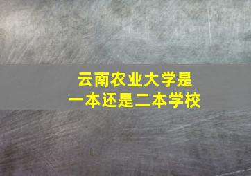 云南农业大学是一本还是二本学校