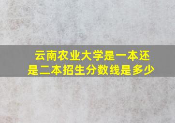 云南农业大学是一本还是二本招生分数线是多少