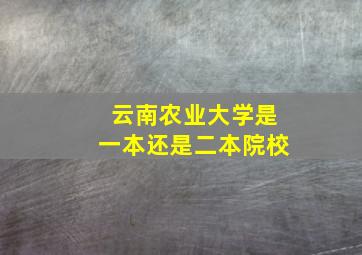 云南农业大学是一本还是二本院校