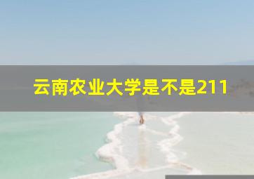 云南农业大学是不是211