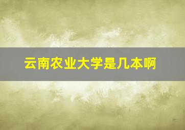 云南农业大学是几本啊