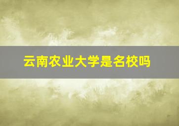 云南农业大学是名校吗