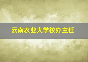 云南农业大学校办主任