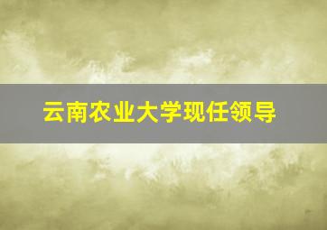 云南农业大学现任领导