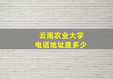 云南农业大学电话地址是多少