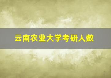 云南农业大学考研人数