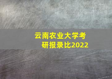 云南农业大学考研报录比2022