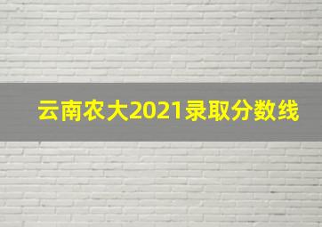 云南农大2021录取分数线