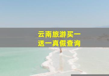 云南旅游买一送一真假查询