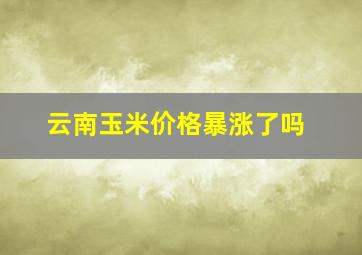 云南玉米价格暴涨了吗