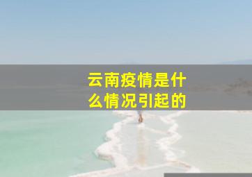 云南疫情是什么情况引起的