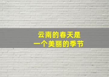 云南的春天是一个美丽的季节