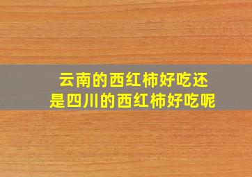 云南的西红柿好吃还是四川的西红柿好吃呢