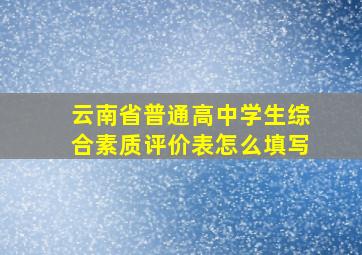 云南省普通高中学生综合素质评价表怎么填写