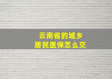 云南省的城乡居民医保怎么交