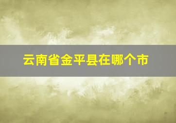 云南省金平县在哪个市