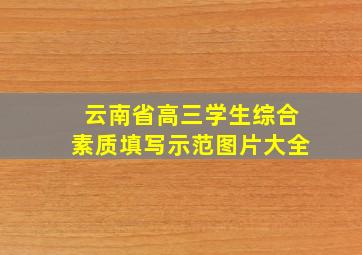 云南省高三学生综合素质填写示范图片大全