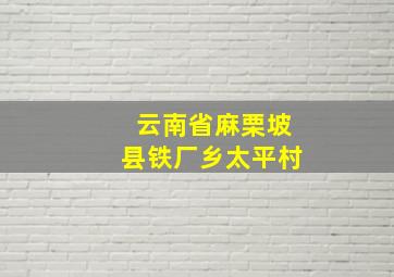 云南省麻栗坡县铁厂乡太平村