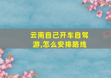 云南自己开车自驾游,怎么安排路线