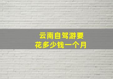 云南自驾游要花多少钱一个月