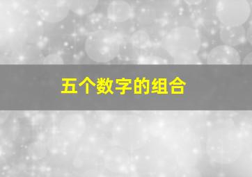 五个数字的组合