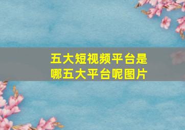 五大短视频平台是哪五大平台呢图片