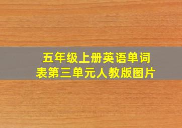 五年级上册英语单词表第三单元人教版图片