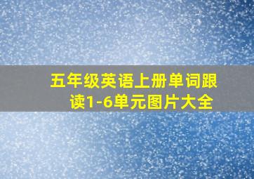 五年级英语上册单词跟读1-6单元图片大全