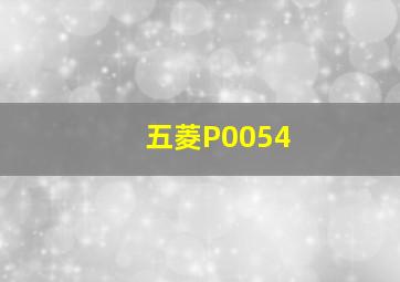 五菱P0054