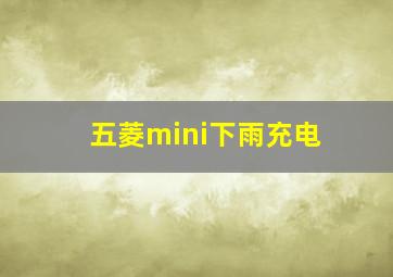 五菱mini下雨充电