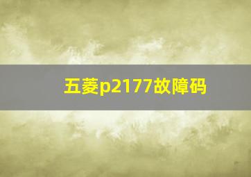 五菱p2177故障码