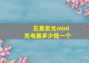 五菱宏光mini充电器多少钱一个