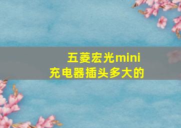 五菱宏光mini充电器插头多大的