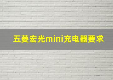 五菱宏光mini充电器要求