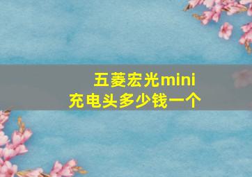 五菱宏光mini充电头多少钱一个