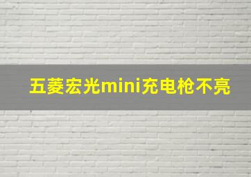 五菱宏光mini充电枪不亮