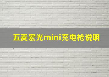 五菱宏光mini充电枪说明