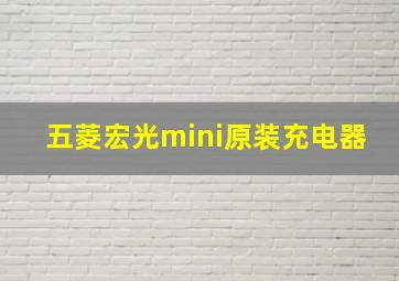 五菱宏光mini原装充电器