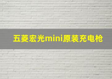 五菱宏光mini原装充电枪