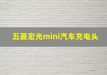 五菱宏光mini汽车充电头