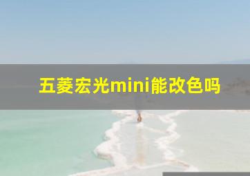 五菱宏光mini能改色吗