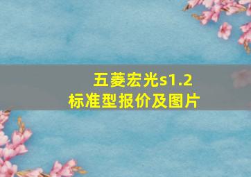 五菱宏光s1.2标准型报价及图片