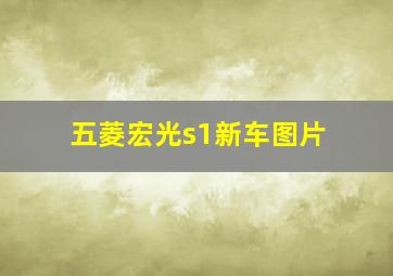 五菱宏光s1新车图片